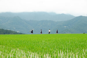 高知県立嶺北高等学校
